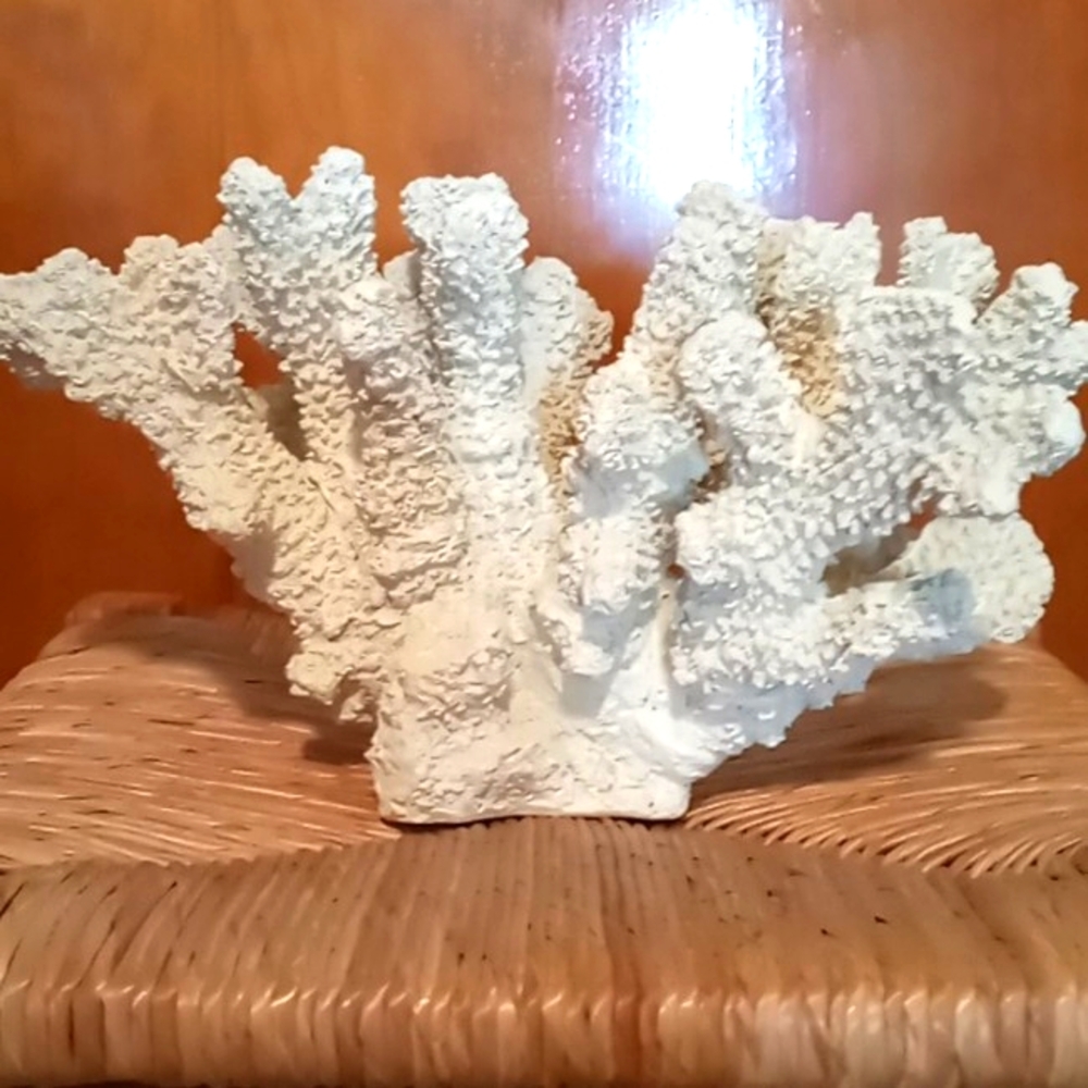 Artificial Coral
